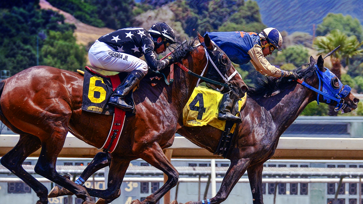 What is a show bet in horse racing entries